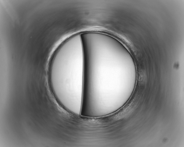X0000099551414200805160715