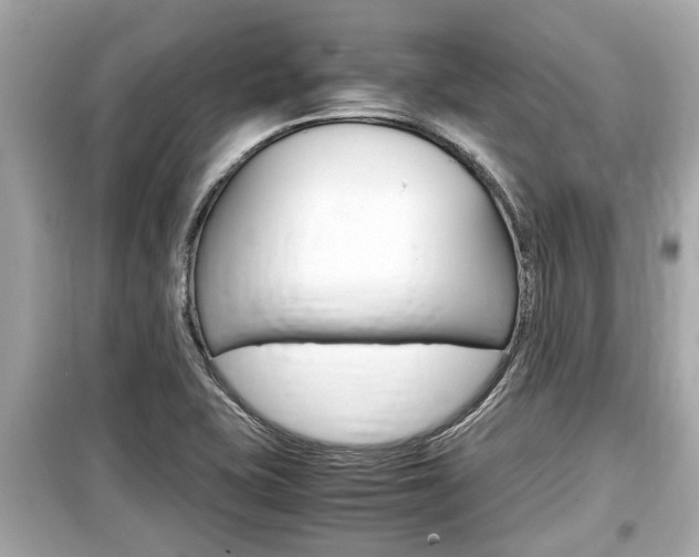 X0000099551415200805160715
