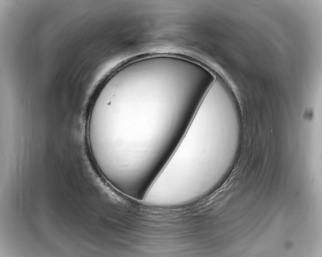 X0000099551416200805160715