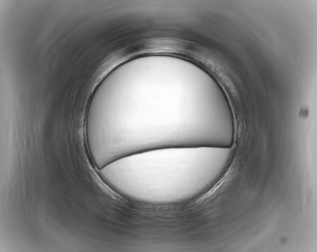 X0000099551417200805160715