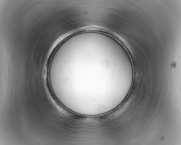 X0000099551418200805160715