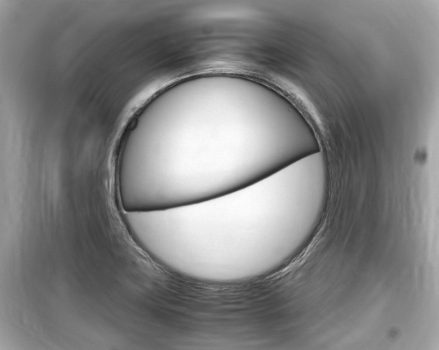 X0000099551419200805160715