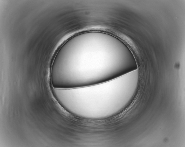 X0000099551420200805160715