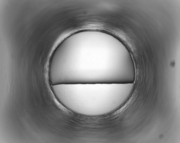 X0000099551421200805160715