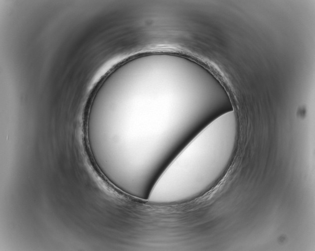 X0000099551422200805160715