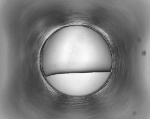 X0000099551423200805160715