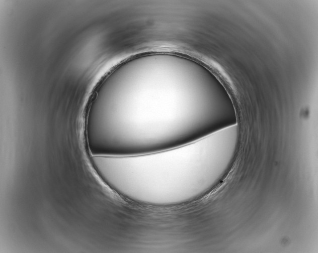 X0000099551424200805160715