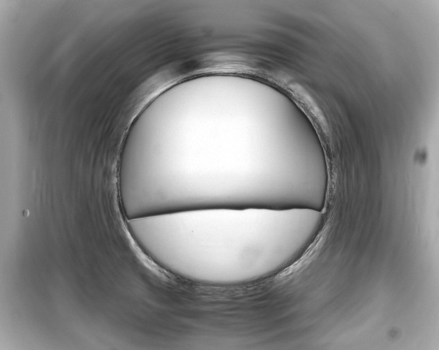 X0000099551425200805160715