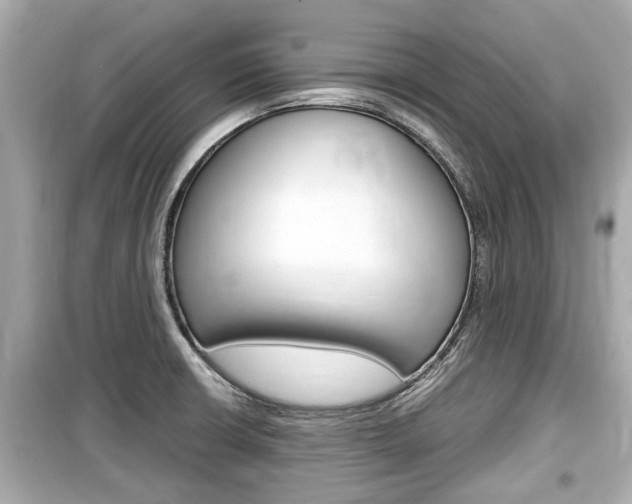 X0000099551426200805160715