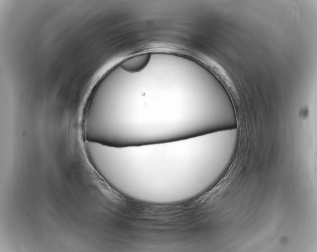 X0000099551427200805160715
