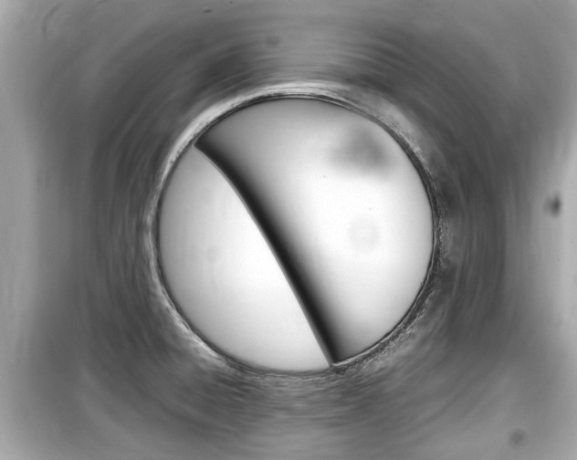 X0000099551428200805160716