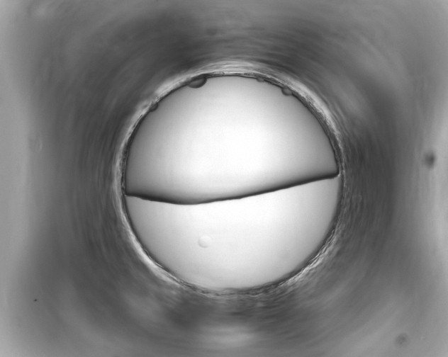 X0000099551429200805160716
