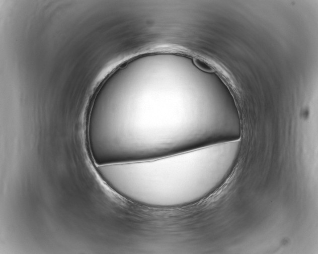 X0000099551430200805160716