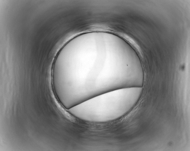 X0000099551431200805160716