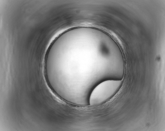 X0000099551432200805160716
