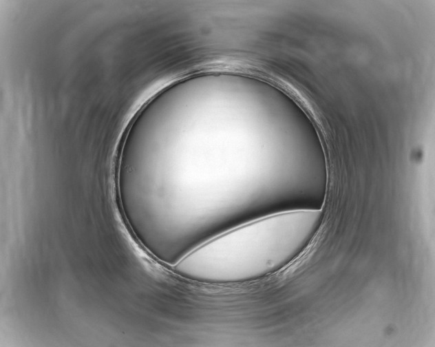 X0000099551434200805160716