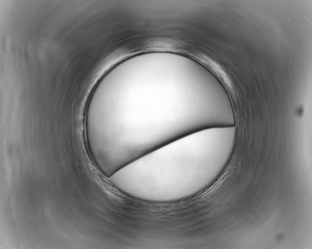 X0000099551435200805160716