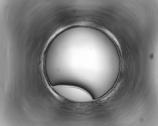 X0000099551437200805160716