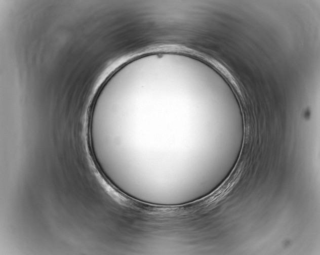 X0000099551438200805160716