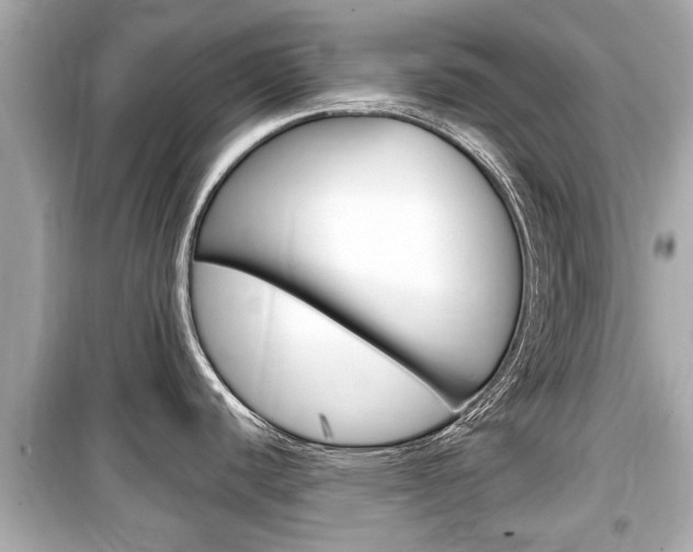 X0000099551440200805160716