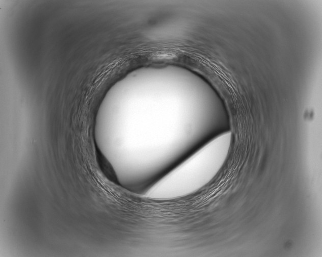 X0000099551441200805160715