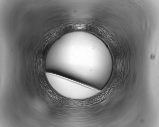 X0000099551442200805160715