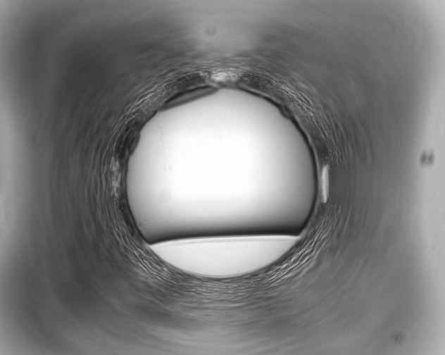 X0000099551443200805160715