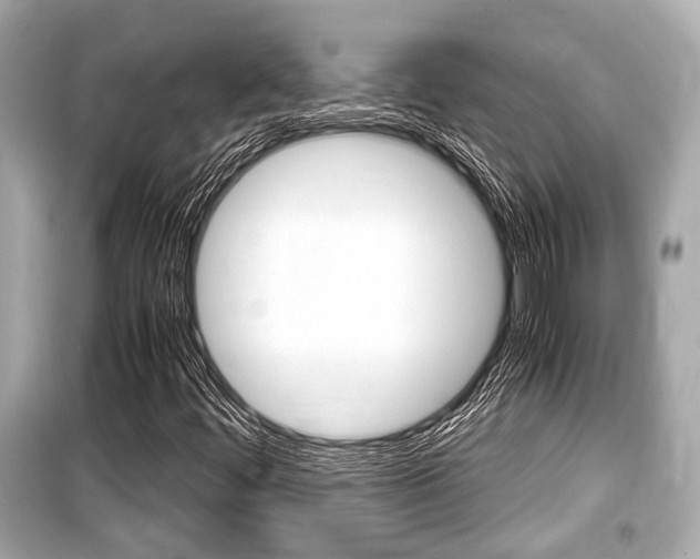 X0000099551444200805160715