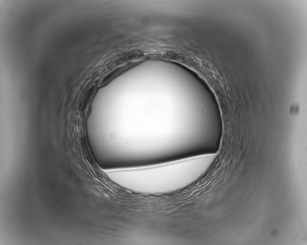 X0000099551445200805160715