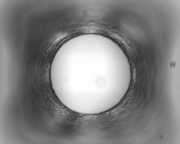 X0000099551446200805160715