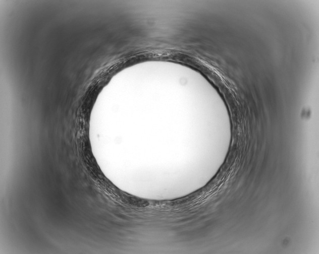 X0000099551447200805160715