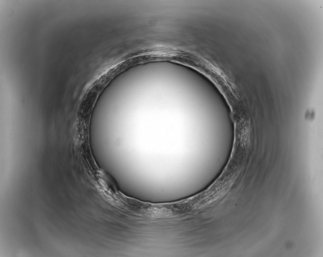 X0000099551448200805160715