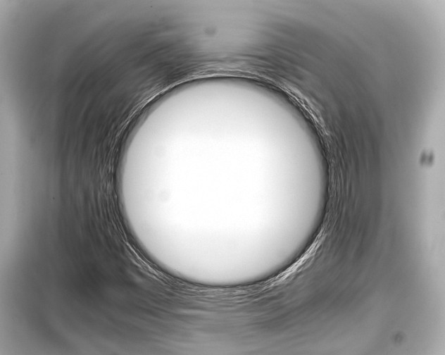 X0000099551449200805160715