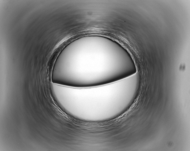 X0000099551450200805160715