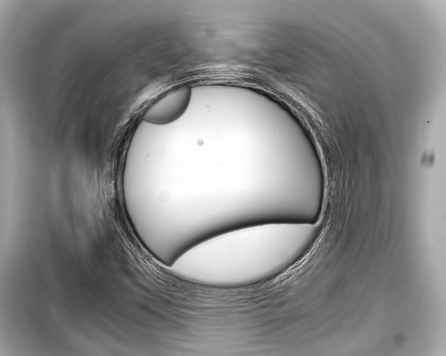 X0000099551451200805160715