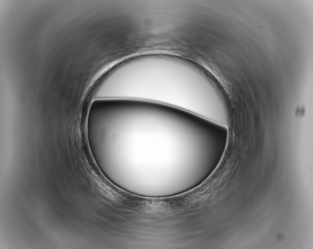 X0000099551452200805160715