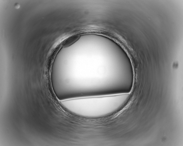 X0000099551453200805160715