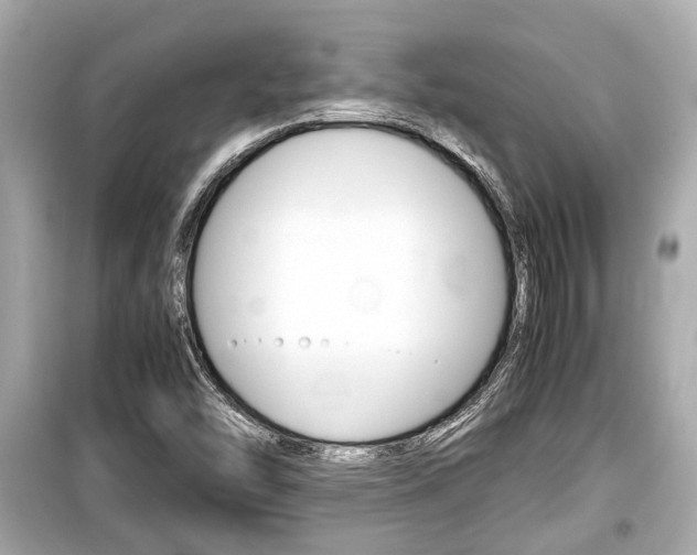 X0000099551454200805160715
