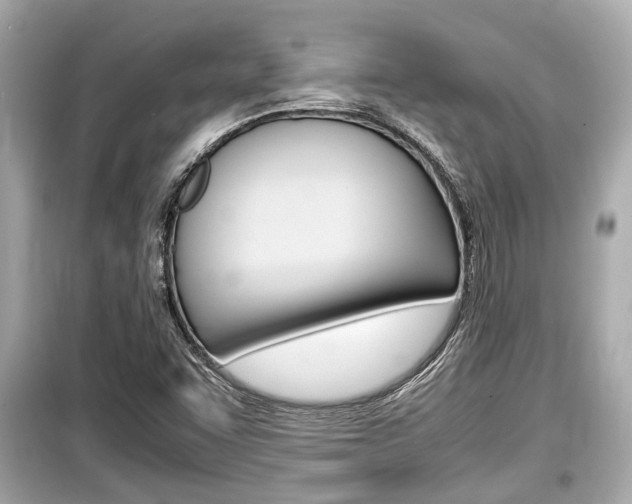 X0000099551455200805160715