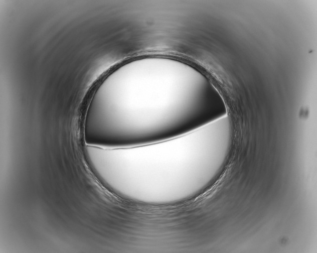 X0000099551458200805160715