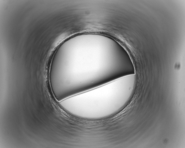 X0000099551459200805160715