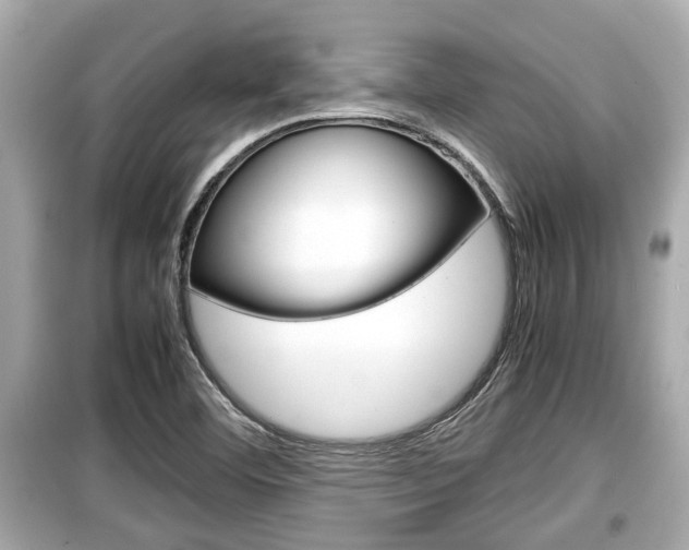 X0000099551460200805160715