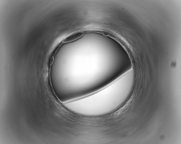 X0000099551461200805160715