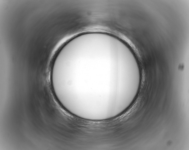 X0000099551462200805160715