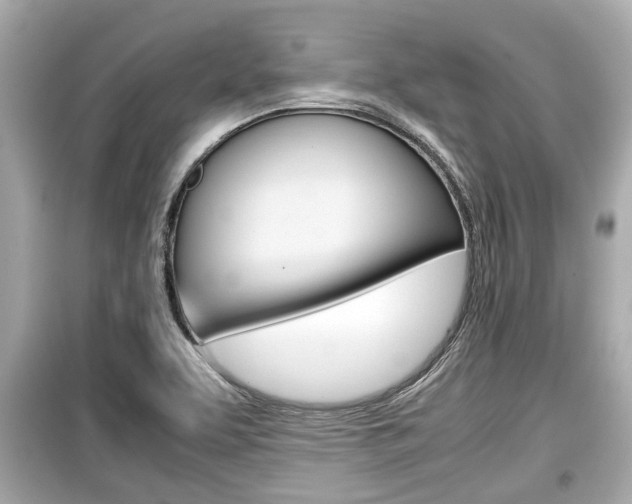 X0000099551463200805160715