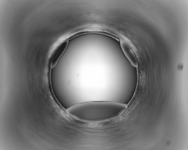 X0000099551464200805160715