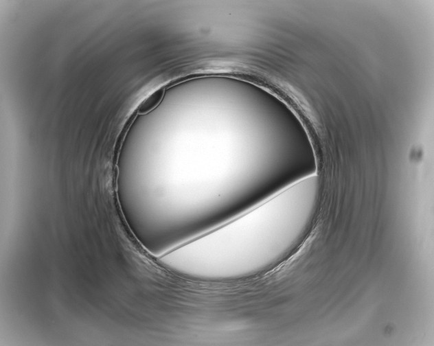 X0000099551465200805160715