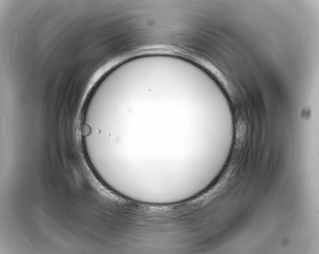 X0000099551466200805160715