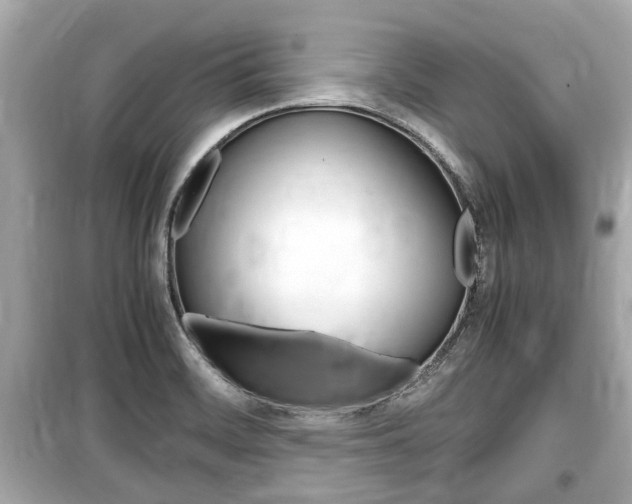 X0000099551468200805160715