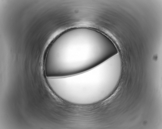 X0000099551469200805160715